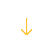 DishDelight.com
